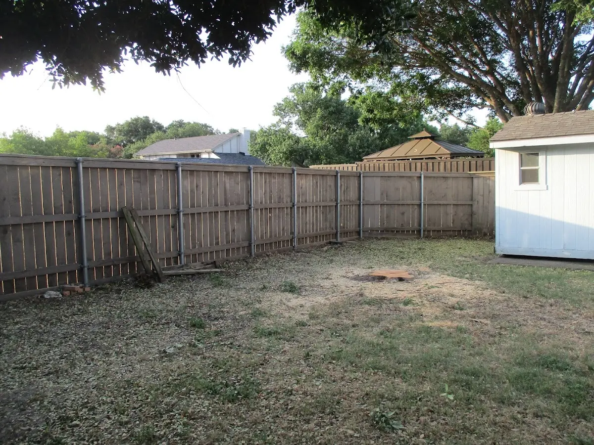 Cleared yard after professional tree removal in Chesterhill